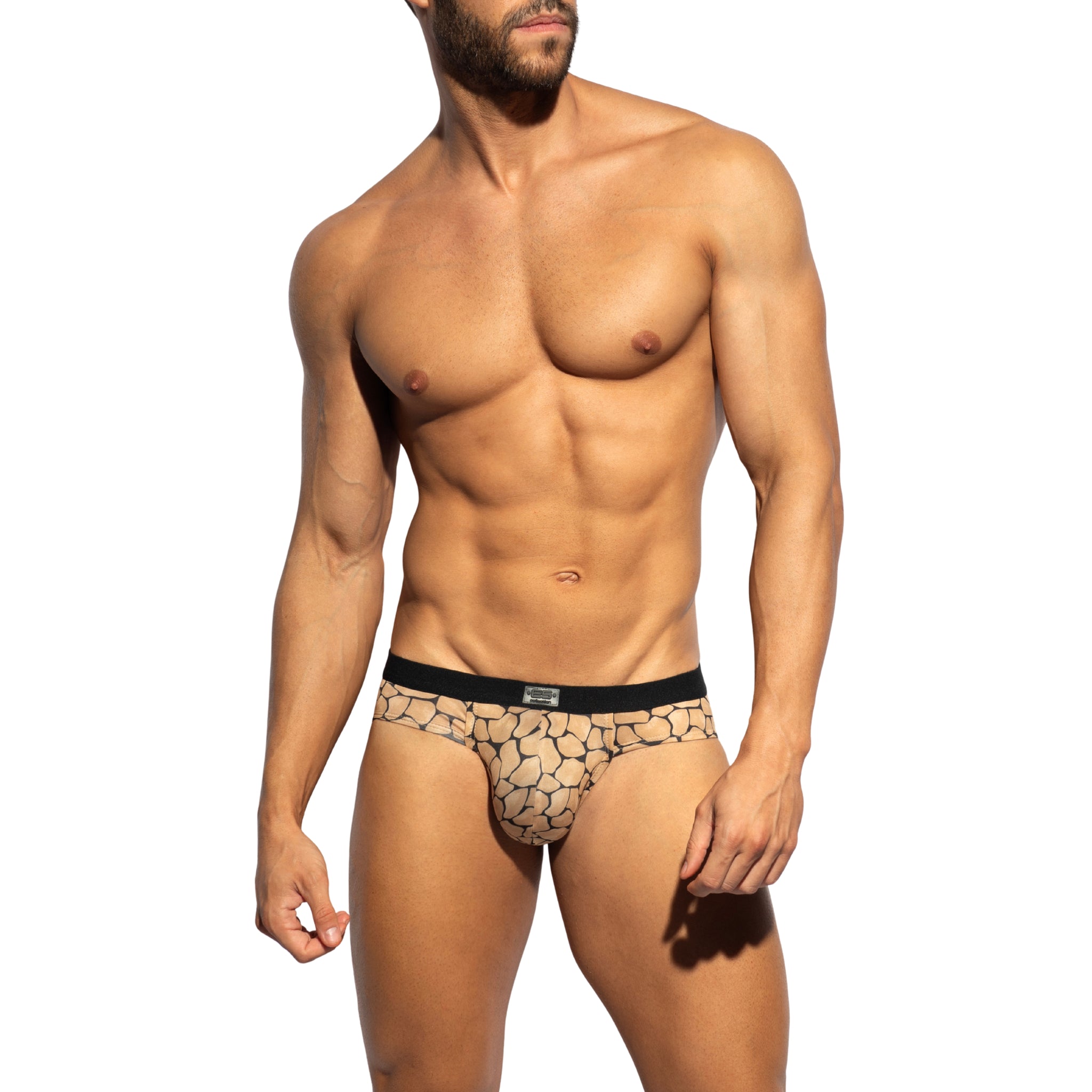 ES Collection Piedra Seca Bikini Brief Black UN641