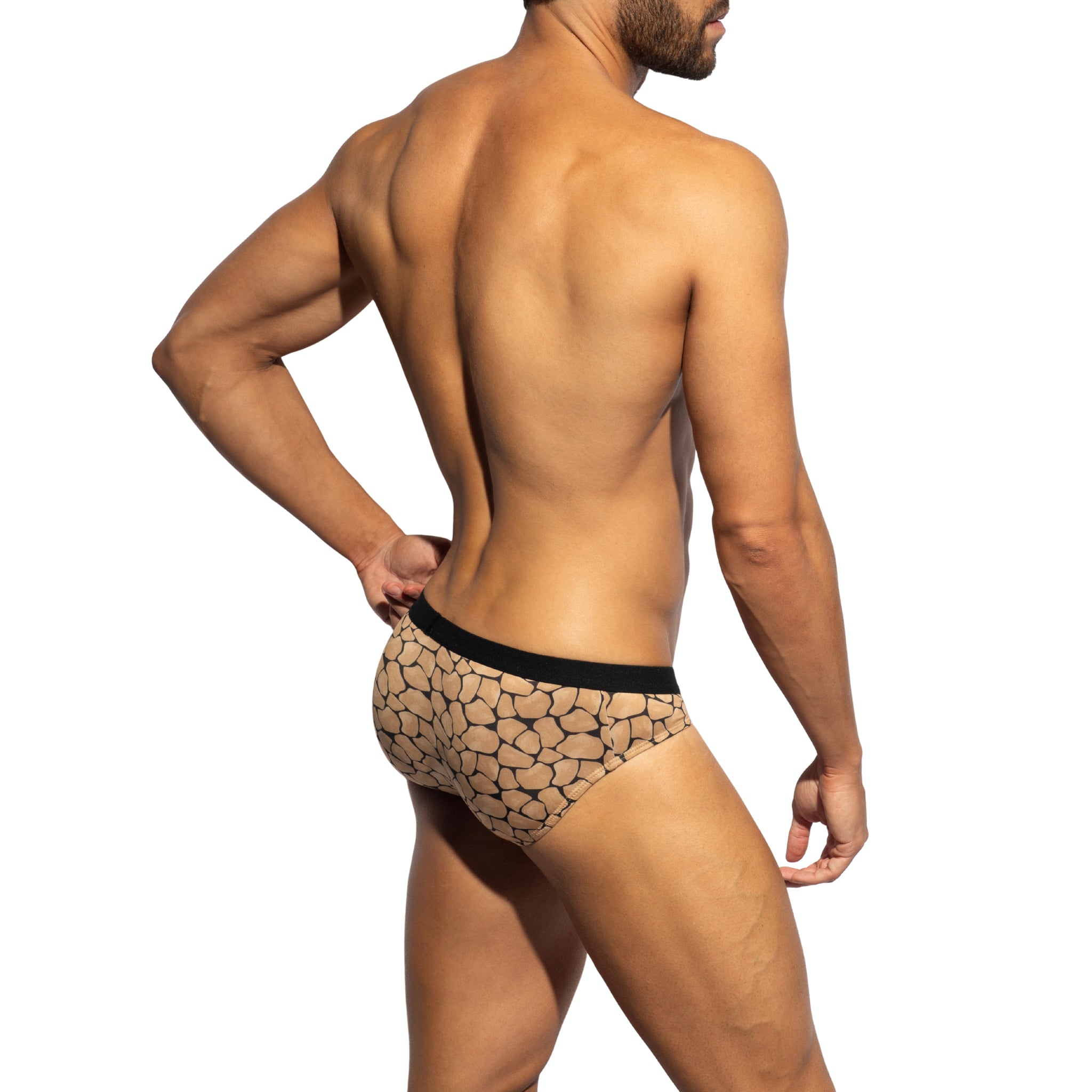 ES Collection Piedra Seca Bikini Brief Black UN641