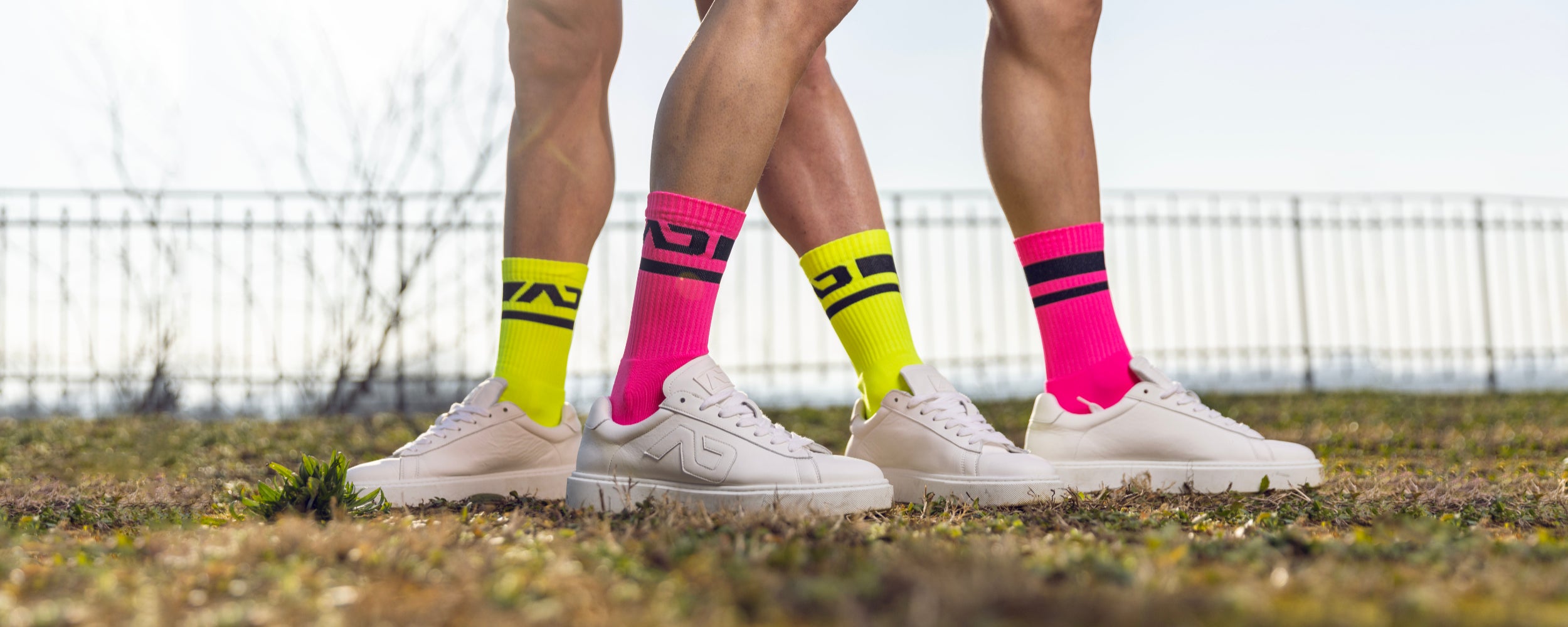 collections_socks_primary.jpg